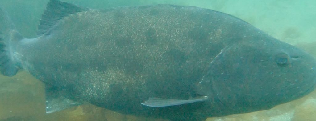 3708d16e-9db9-496e-9a35-f8e53917e90b