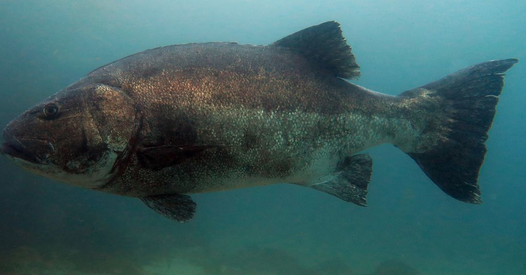 87ca64ec-b2ef-44b7-976f-c8f31731770c