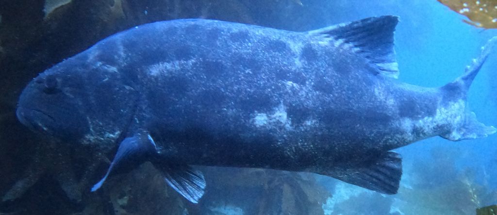 b6be489a-e1d8-4673-8fa7-8f7b2f50d525