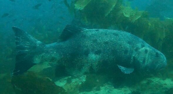 9ce2862f-58e6-4367-9809-73723278bf52