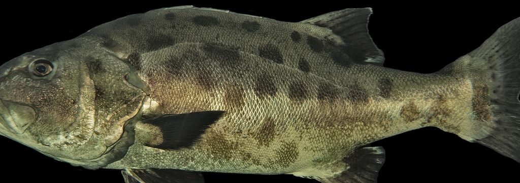 ea89aea2-85d7-44b3-887d-d11a4de14ad2