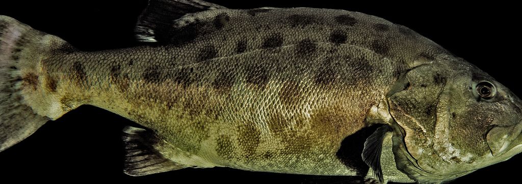 ea89aea2-85d7-44b3-887d-d11a4de14ad2