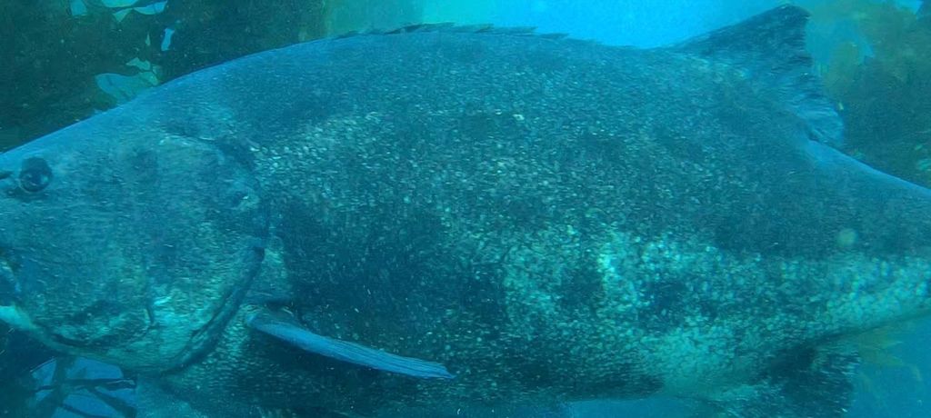 bbb9137f-efb3-4501-935c-8b699524b574