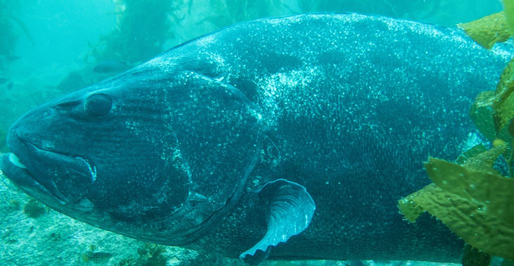 61aedc7d-70b9-4ec2-9749-d5be629f2544