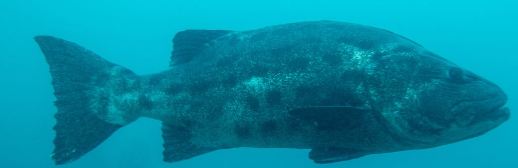 61aedc7d-70b9-4ec2-9749-d5be629f2544