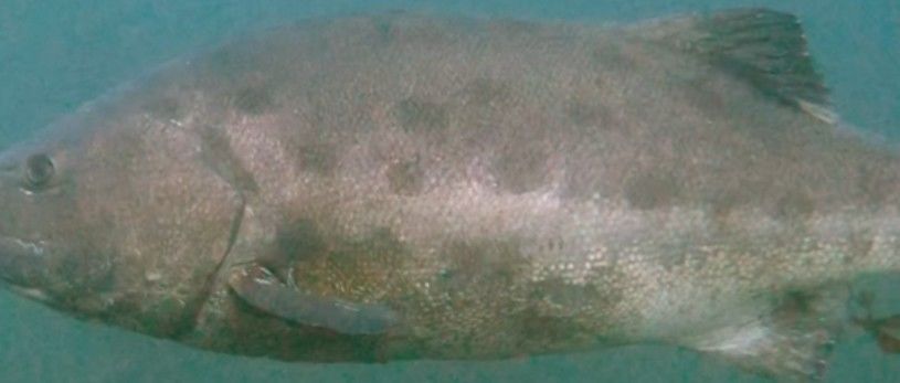 9ab95417-edec-4d3a-8268-a24789949d47