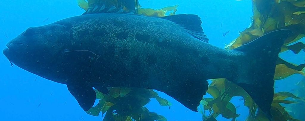 cc151184-ed4e-46a5-84ed-786983104a43