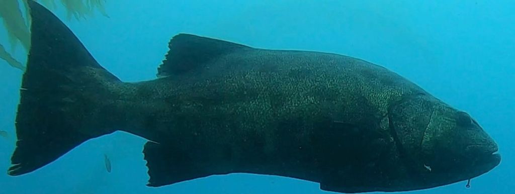 cc151184-ed4e-46a5-84ed-786983104a43