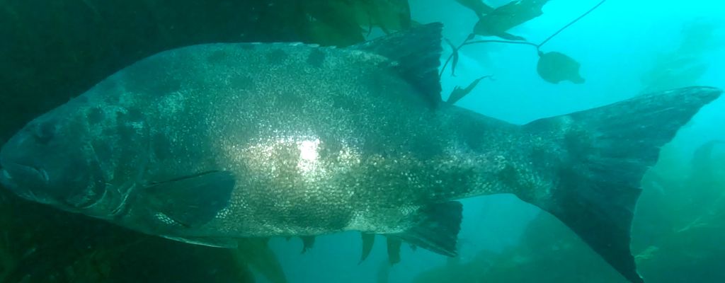 029d789a-dea3-4e5d-8607-89c5734400d2