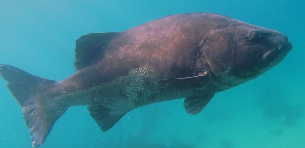 591083b4-d505-4c78-806f-c3f0d1f62441