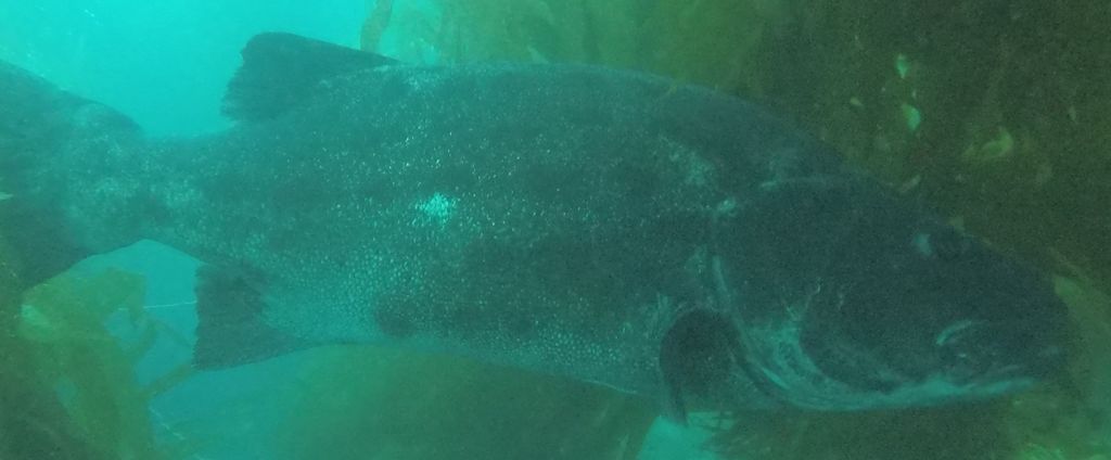 61aedc7d-70b9-4ec2-9749-d5be629f2544