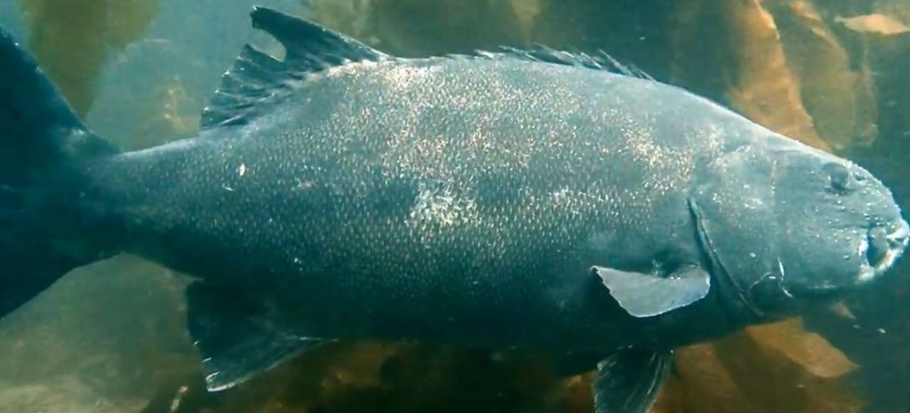 f5205dd8-7230-49e3-bd6c-2339fb4f7924