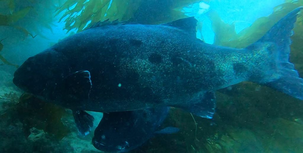 4d7fb03a-6de1-4f67-87f8-814f31398697