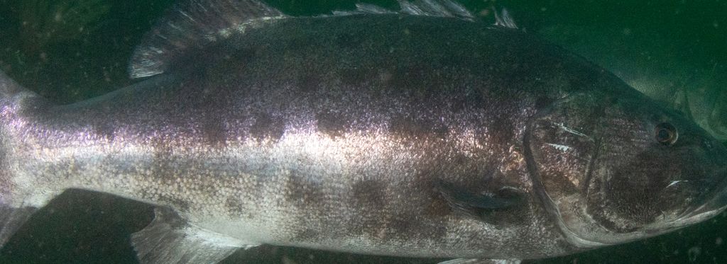 a8d6162a-5de8-493a-8c6c-d9f029179783