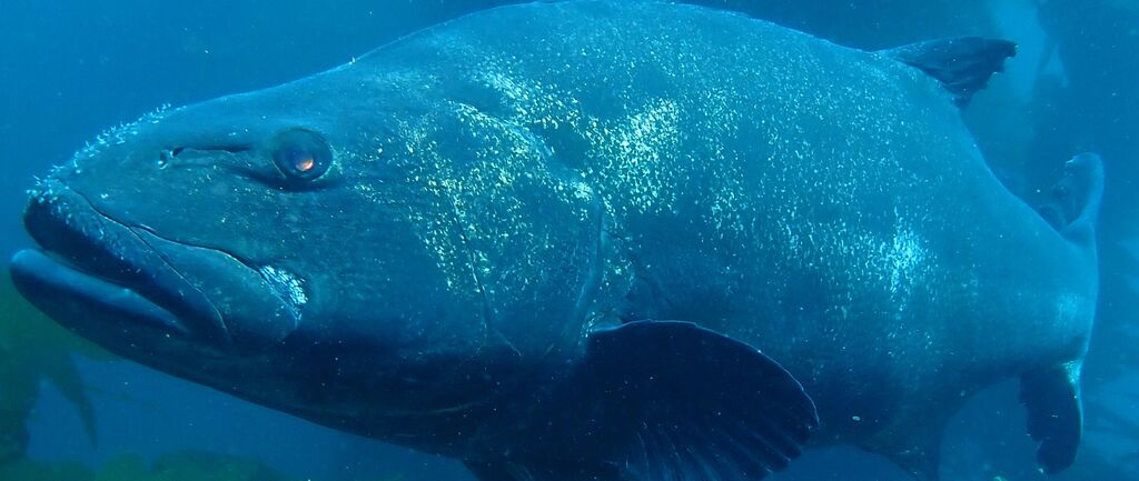 3067e7f2-9ba7-454a-a7bb-283cfd1ebcbe