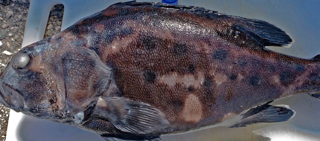 c5814268-f535-4e62-ab4f-484de1c035e1