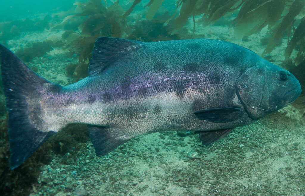 decdd11c-ff22-46a1-99a6-26eb93b3ffcd