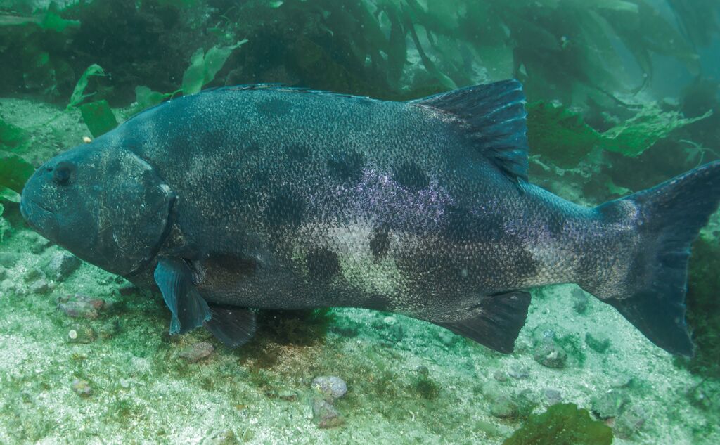 decdd11c-ff22-46a1-99a6-26eb93b3ffcd