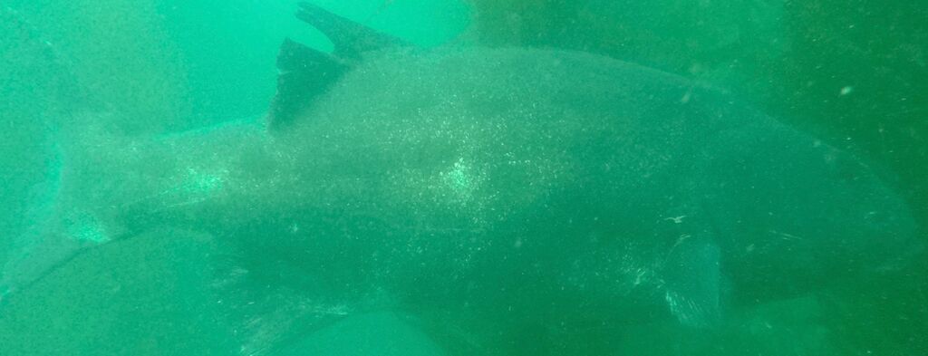 e64c272a-33c2-4ffc-be37-1a63b724ea4f