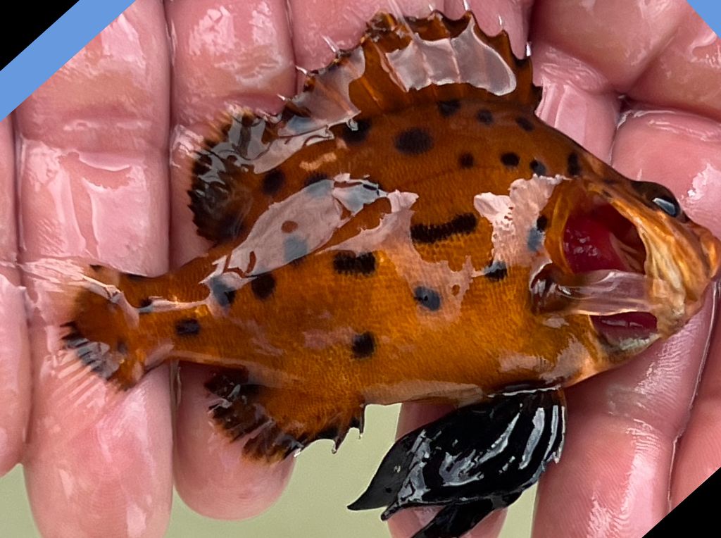 0fdaf510-2e48-4281-b149-340f99003fb8