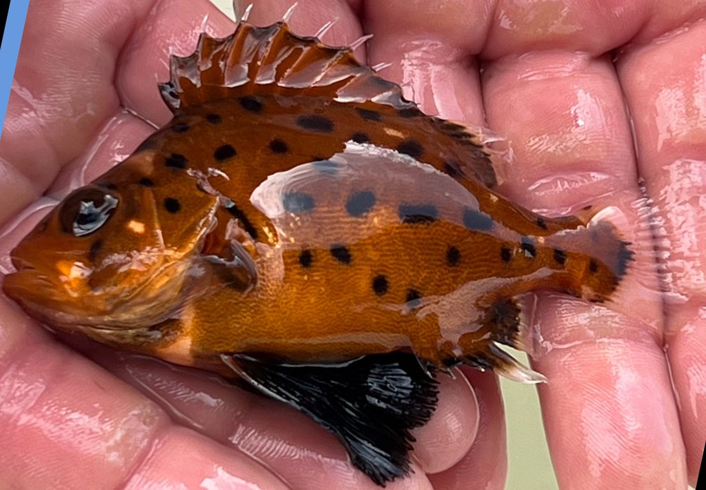 0fdaf510-2e48-4281-b149-340f99003fb8