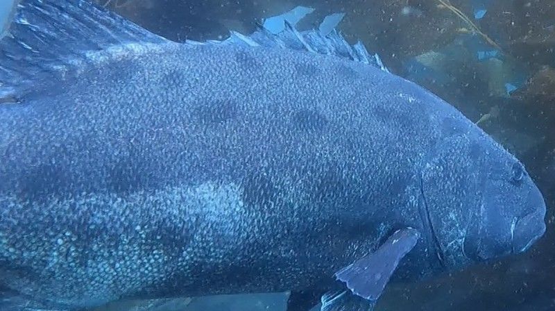 d166731a-96b9-41df-916c-8837cc55c94d