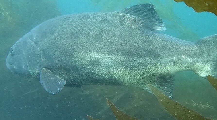 d166731a-96b9-41df-916c-8837cc55c94d