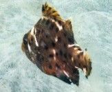 73a297c9-80f1-4b91-bf5c-b5a466fca054