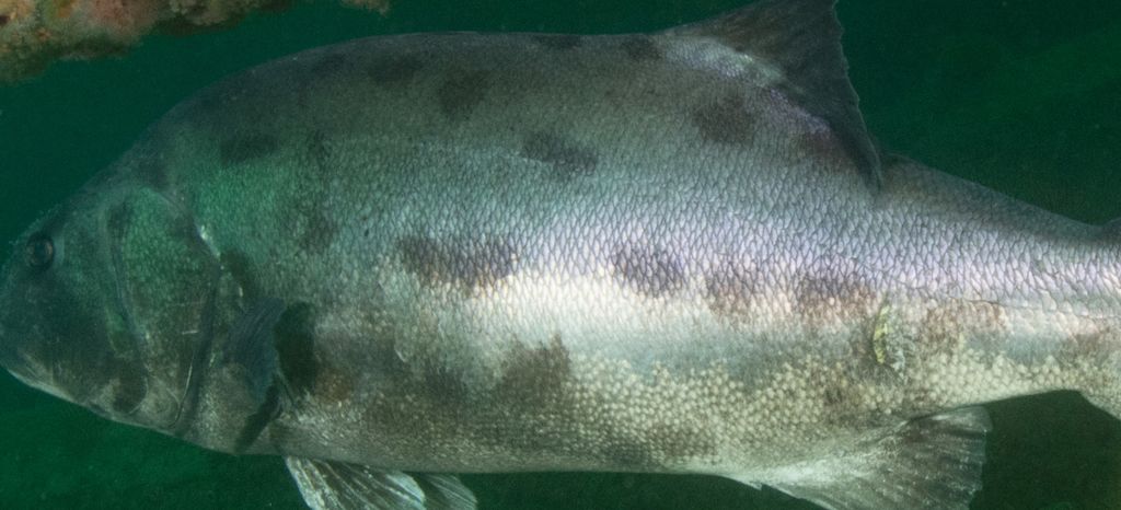 813c4016-59ff-4497-aa9c-9998e494cab2