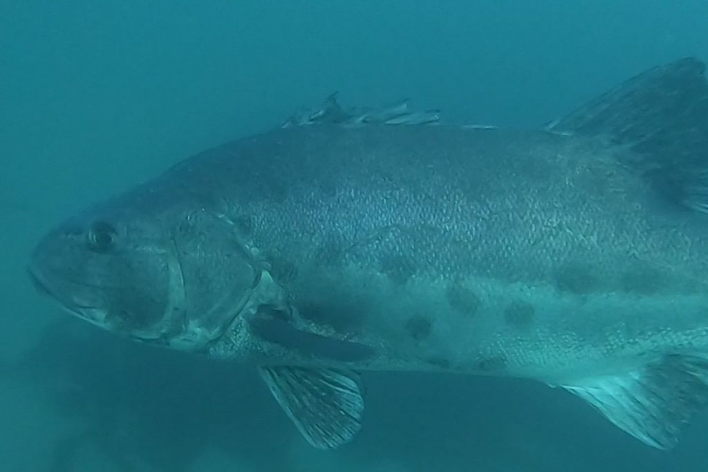 1ba8c438-1e74-4a99-929c-7abc87479f4e