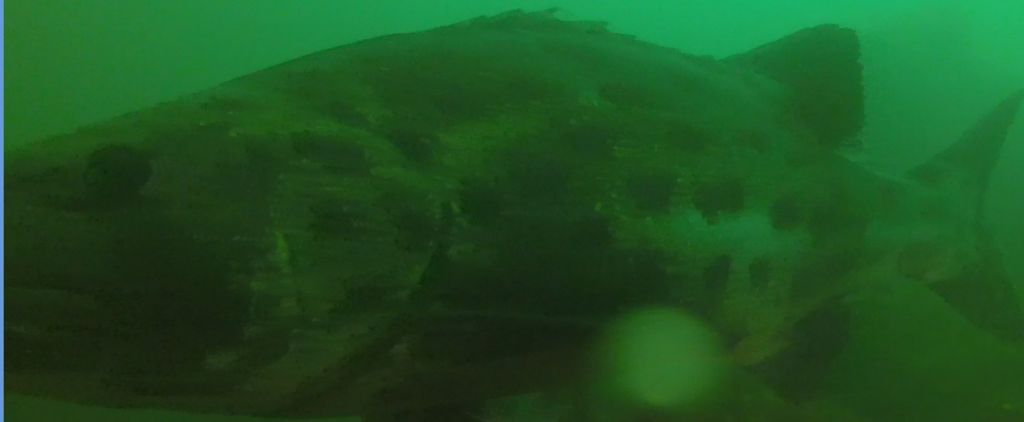 3067e7f2-9ba7-454a-a7bb-283cfd1ebcbe