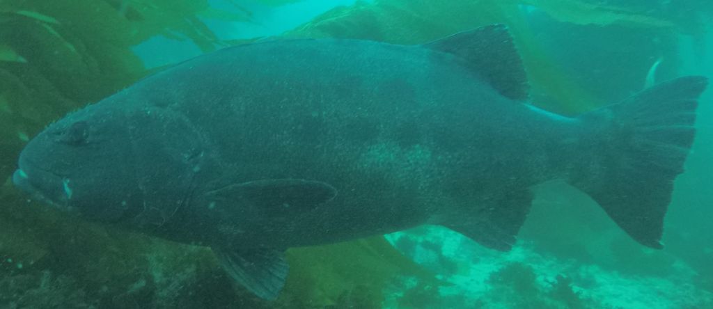 6a7779fa-e46d-4078-b0c4-7edcd15b64ad