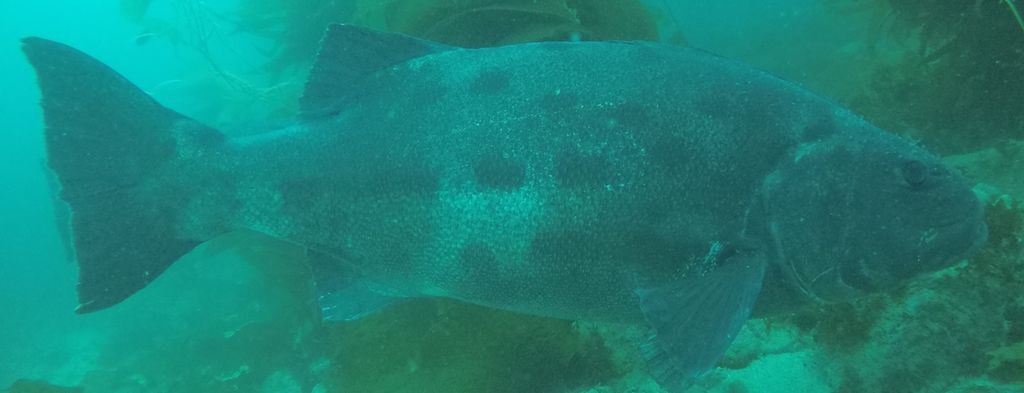 6a7779fa-e46d-4078-b0c4-7edcd15b64ad