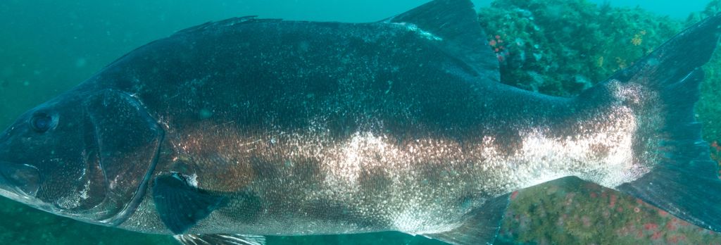 753709fd-4840-44e5-a2d7-262923f8b1dc