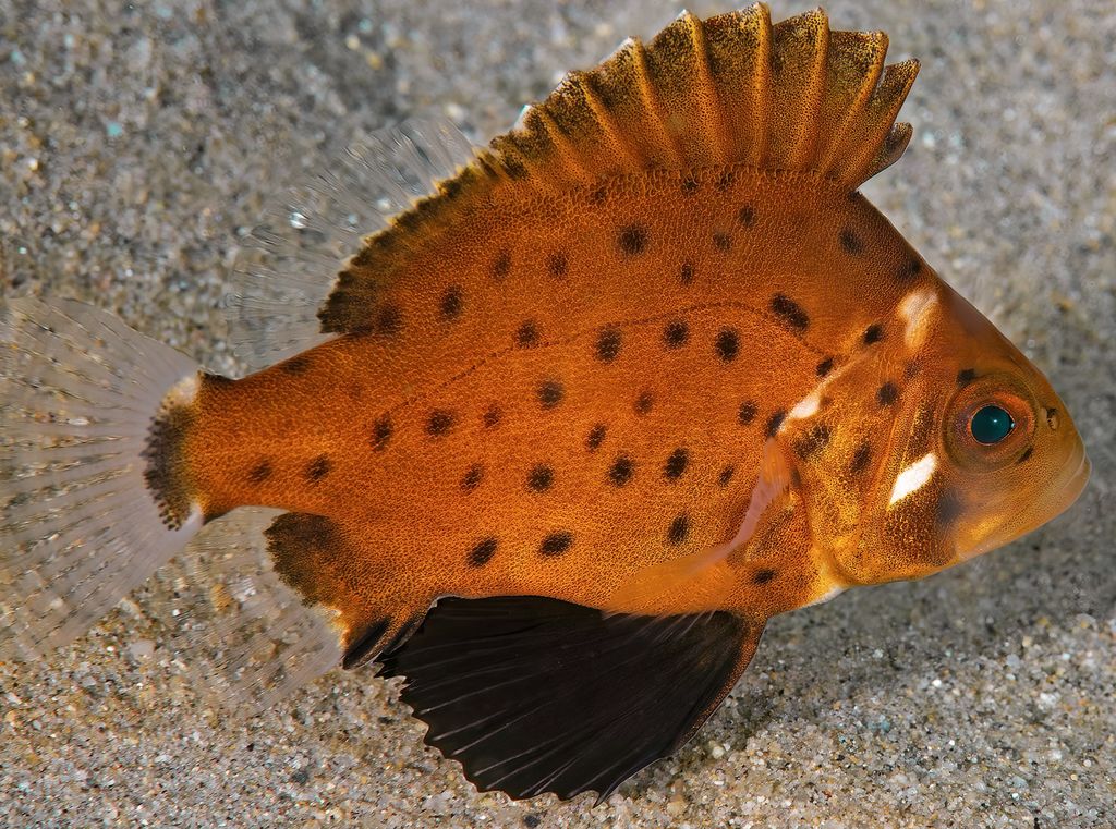 7113ba0c-0020-4296-b18e-740bf0daa537