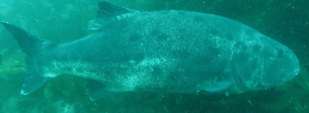 045bb660-a004-4d9e-a187-79f59875b989