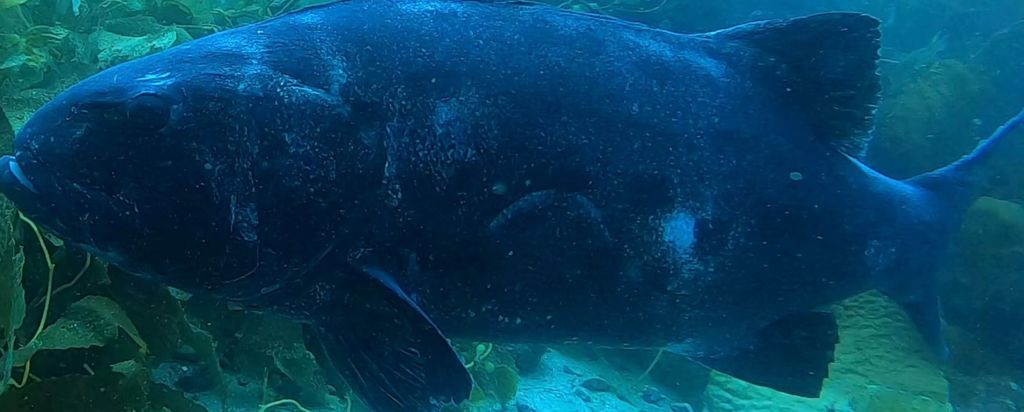 881c8ce1-22f0-448a-8a19-076dafdccbab