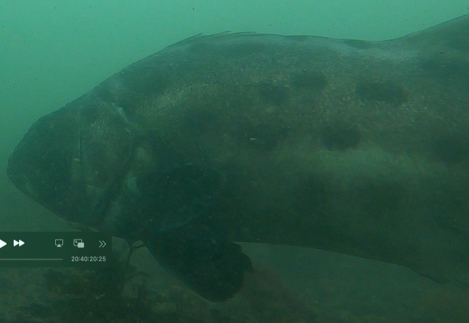 73959f10-0087-4608-851f-495cea6ecac0