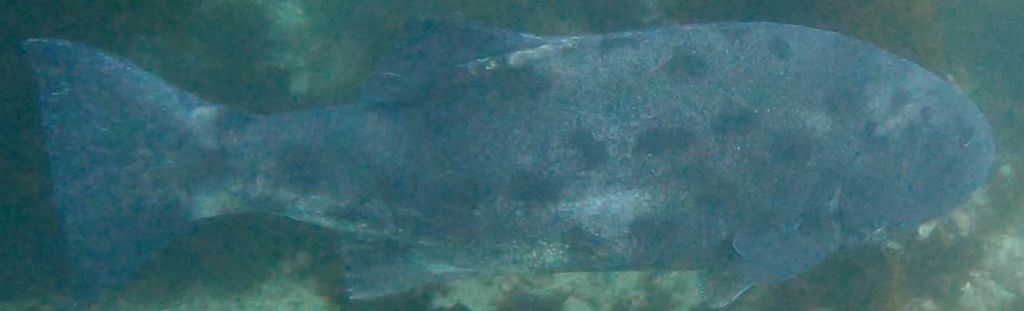 9a4b23f2-b91a-4a58-b6ea-0b2e2f829436