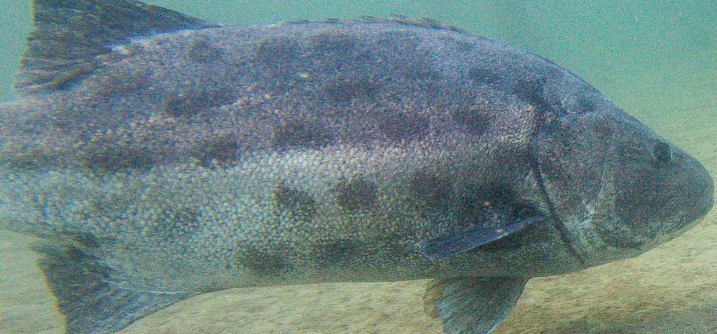 e85c0e0e-49c7-4b70-9c9e-2e43e5a26235