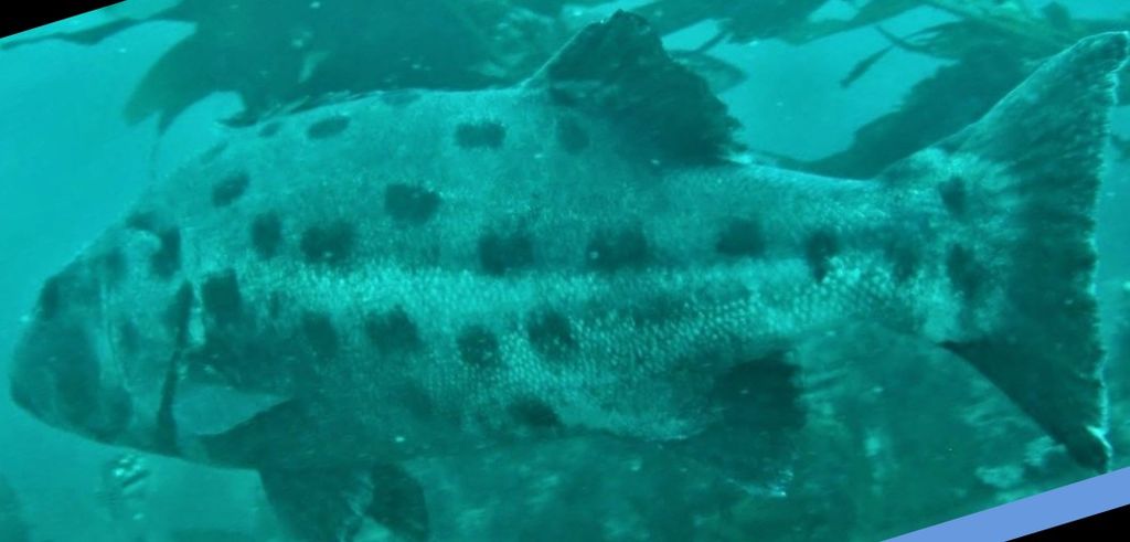 a06d1d29-d1fe-41a3-bf38-8f285bb9c811