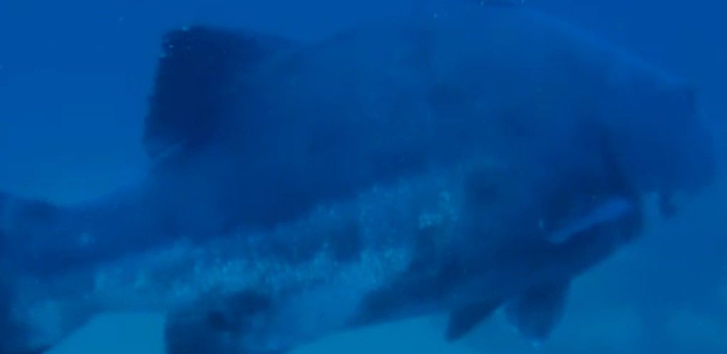 c4555e91-9e6a-48fd-816c-43bab5bf8111