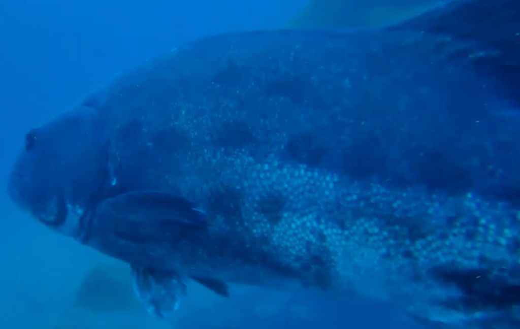 c4555e91-9e6a-48fd-816c-43bab5bf8111