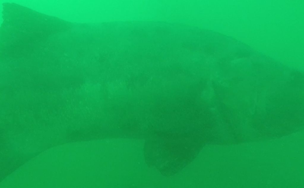 5ea8baf6-56ef-4b94-a93c-a450ac81f4f0