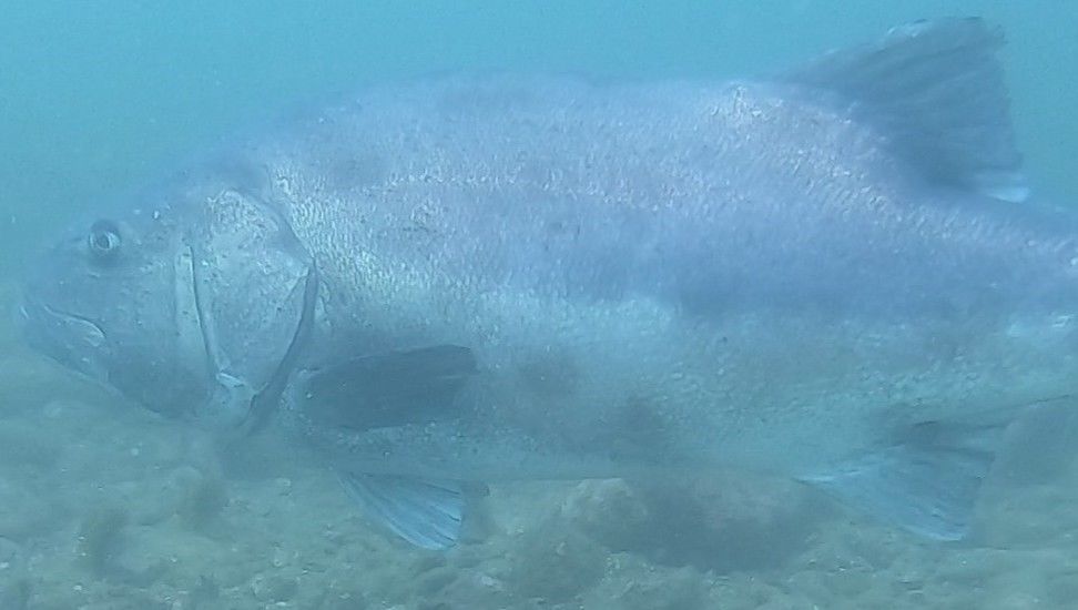 2bc25e79-c0f4-4f21-8a39-bc3ab78fe4da