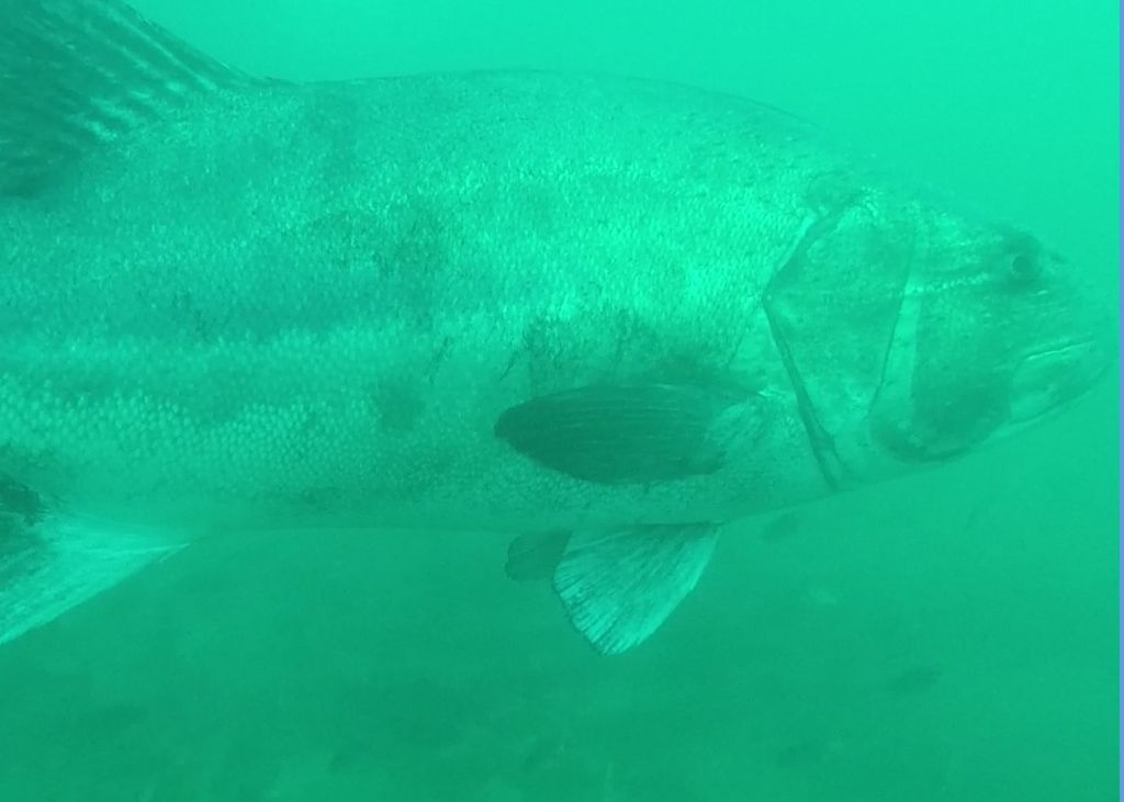 2f3d090c-9f5a-4873-a3c4-dbf6d139cb41