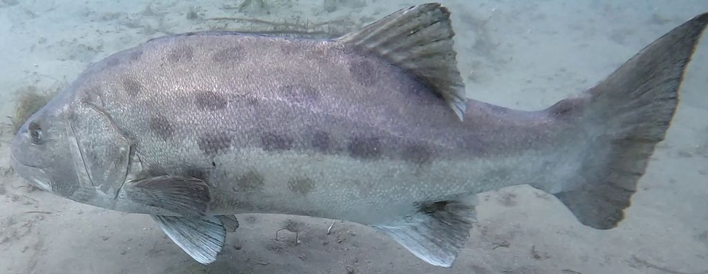 fe569099-dcf8-4421-af7d-a666ec870838