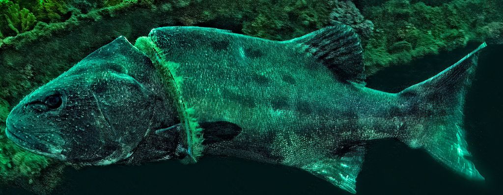 57b84b63-d7ba-4a7d-8857-e7530c5cd587