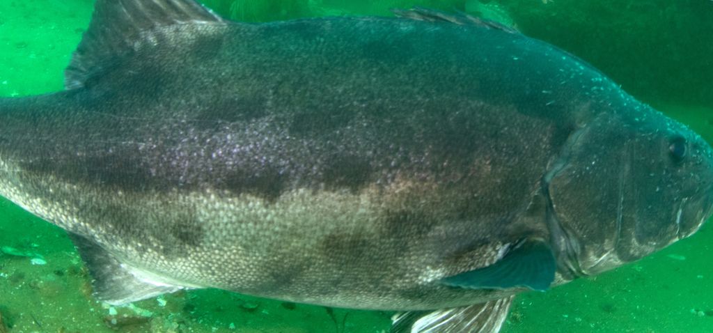 d18c3942-c896-476e-bfca-8aef39b081b7