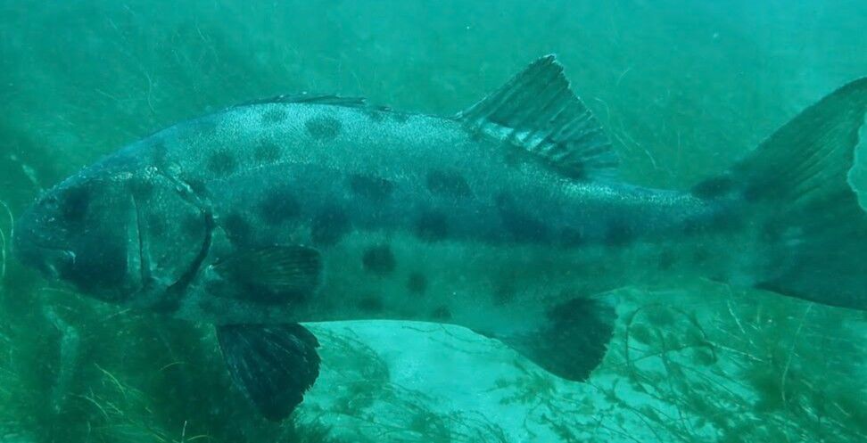 b482f6f7-63bf-495d-9cb8-9db819911b39